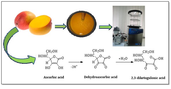 Effects of Freeze-drying and Freezing on Vitamins and Sugars of Mango Pulp (‘Apple’ Cultivar): A Preliminary Comparison of Methods for Improving Sample Storage 