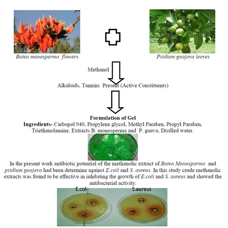 Preparation and Evaluation of Herbal Formulation Using Natural Extract 