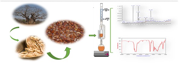 Gas Chromatography-Mass spectrum and Infra-Red spectral analysis of Fixed Oil from Sudanese Adansonia digitata Seeds 