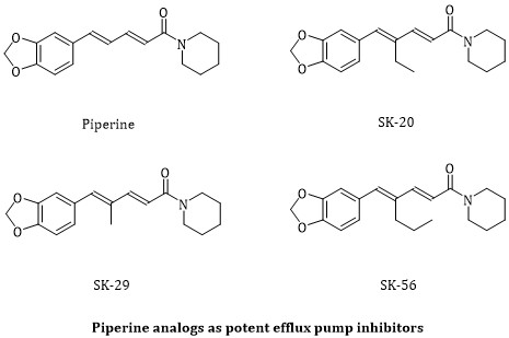 Synthesis and Characterization of Piperine Analogs as Potent Staphylococcus aureus NorA Efflux Pump Inhibitors 