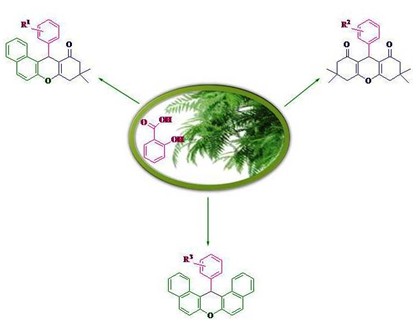 Salicylic Acid as a Bio-based and Natural Brønsted Acid Catalyst Promoted Green and Solvent-free Synthesis of Various Xanthene Derivatives 