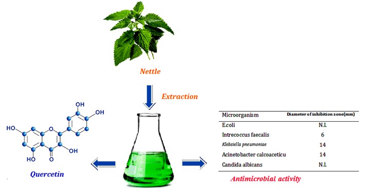Comparison of Different Extracts of Nettle in Quercetin and Evaluation of its Antimicrobial Activity 