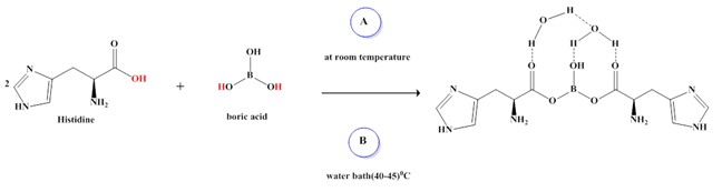 Synthesis of New Homogeneous Amino Acids Compound with Boron and Some of Its Metal Complexes 