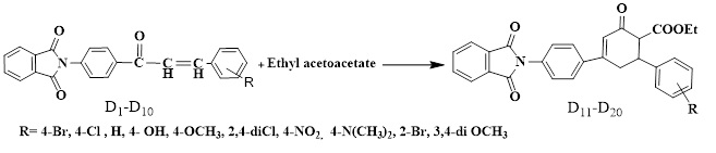 Synthesis, Characterization of Ethyl Dioxoisoindolinyl Cyclohexenone Carboxylate Derivatives from Some Chalcones and its Biological Activity Assessment 