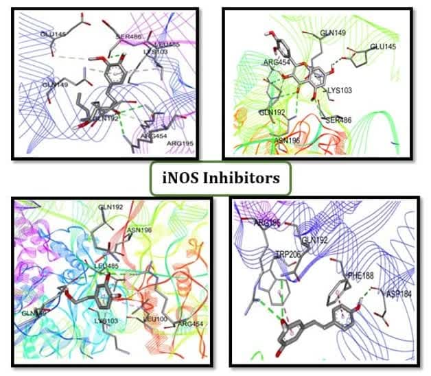 Investigation of Some Phenolic Compounds as iNOS Inhibitors: An in silico Approach 