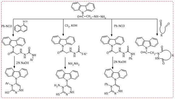 Synthesis and Study Impaction Antibacterial, Antifungal Activity Newly Pyridazine and 1,2,4-Triazine Derivatives 