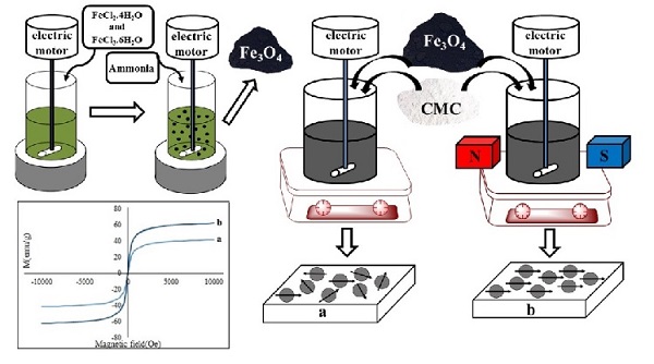 Improvement of Magnetic Property of CMC/Fe3O4 Nanocomposite by Applying External Magnetic Field During Synthesis 