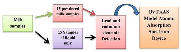 Lead and Cadmium Elements Detected in Milk Samples from Local Markets in Baghdad 