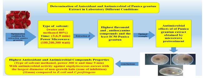 The Effect of Microwave Pretreatment on the Extraction Rate of Flavonoid, Anthocyanins, Antioxidant Compounds and Antimicrobial Activity of Punica Granatum Var. Pleniflora (Persian Golnar) 