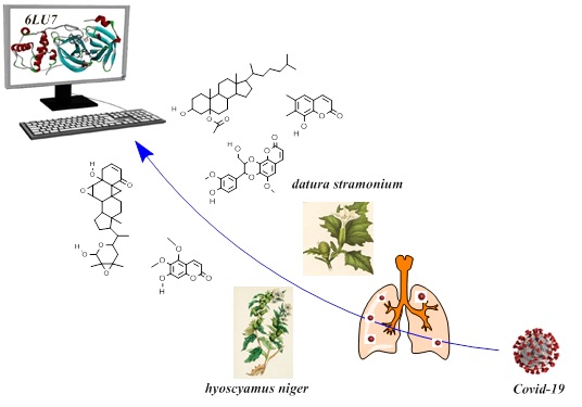 In silico Analysis of Sars-CoV-2 Main Protease Interactions with Selected Hyoscyamus Niger and Datura Stramonium Compounds for Finding New Antiviral Agents 
