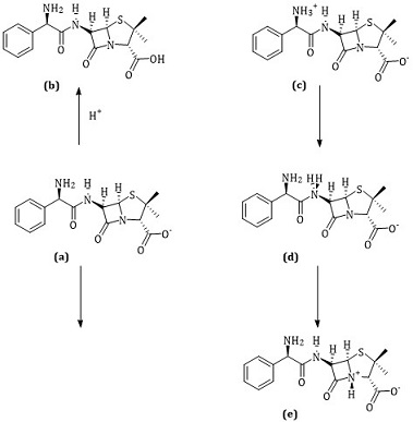 Computational NQR−NBO Parameters and DFT Calculations of Ampicillin and Zwitterion (Monomer and Dimer Structures) 