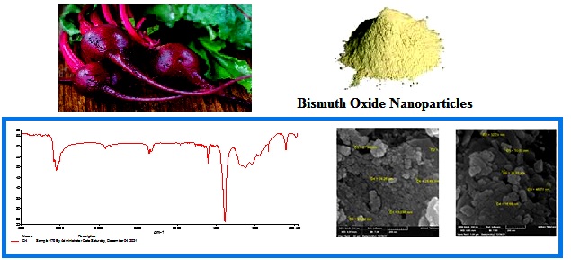 Biosynthesis, Characterization, and Applications of Bismuth Oxide Nanoparticles Using Aqueous Extract of Beta Vulgaris 