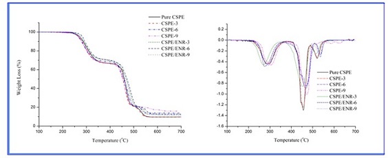 Thermal Degradation and the Morphology of Chlorosulfonated Polyethylene/Nanoclay Nanocomposites 