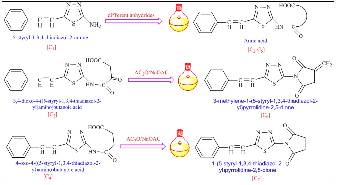 Synthesis and Biological Activities of Some New Derivatives Based on 5-Styryl-2-amino-1,3,4-thiadiazole 