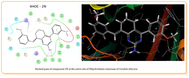 Molecular Docking Studies of Novel Aminopyrimidines as Potent Antifungal Agents 