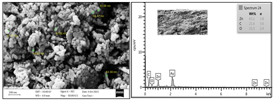 An Evaluation of the Activity of Prepared Zinc Nano-Particles with Extract Alfalfa Plant in the Treatments of Peptidase and Ions in Water 