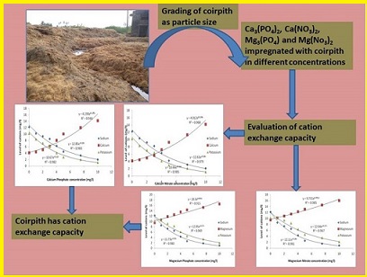 A Study on Cation Exchange Capacity of Sieved Coir Pith 
