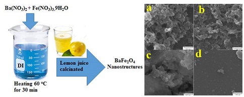 Auto-combustion Preparation and Characterization of BaFe2O4 Nanostructures by Using Lemon Juice as Fuel 
