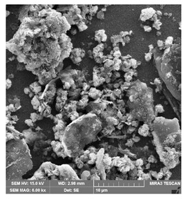 Pre-concentration and Determination of Fluoxetine in Hospital Wastewater and Human Hair Samples using Solid-phase µ-Extraction by Silver Nanoparticles Followed by Spectro-fluorimetric 