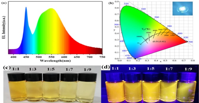 Study of Optical and Structural Properties of CdTe Quantum Dots Capped with 3MPA Using Hydrothermal Method 