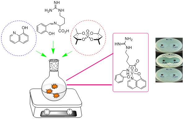 Synthesis, Characterization, and Antimicrobial Studies on a New Schiff Base Complex of Vanadium (V) 